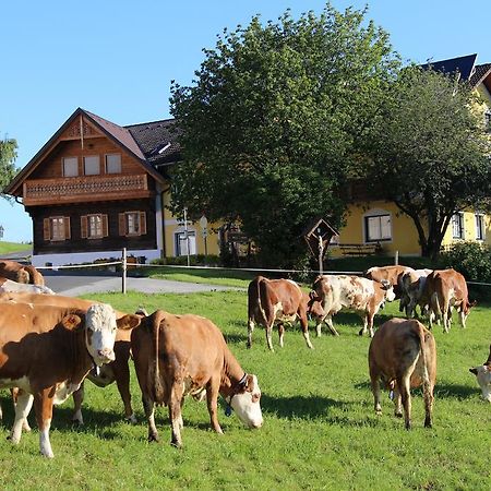 Wiesenbauer - Schlogl Anton Villa Grafendorf bei Hartberg Exteriör bild