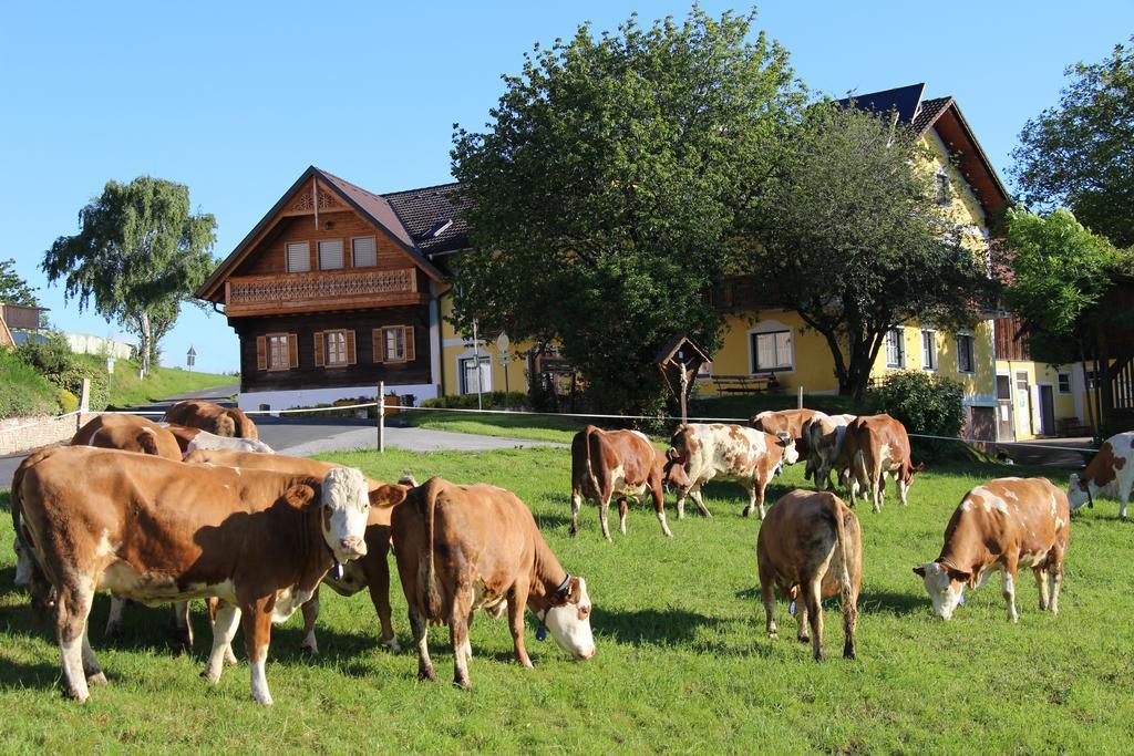 Wiesenbauer - Schlogl Anton Villa Grafendorf bei Hartberg Exteriör bild