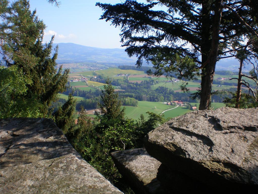 Wiesenbauer - Schlogl Anton Villa Grafendorf bei Hartberg Exteriör bild